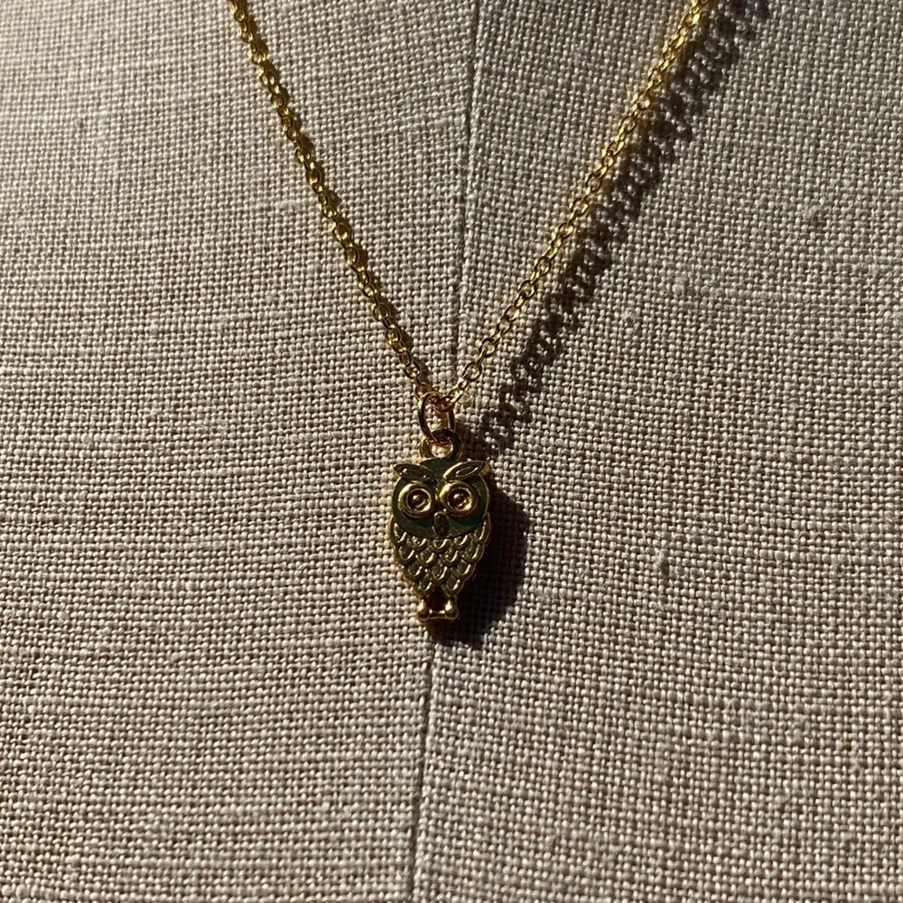 NWT Sterling Silver Plated Chain & Alloy Owl Charm Necklace - Picture 10 of 11